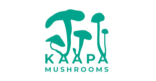 KÄÄPÄ Mushrooms logo