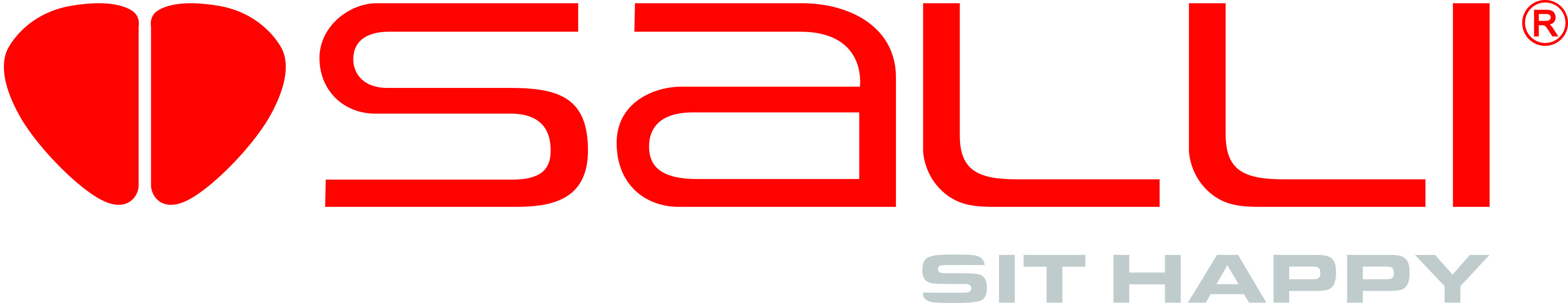 Salli Systems logo